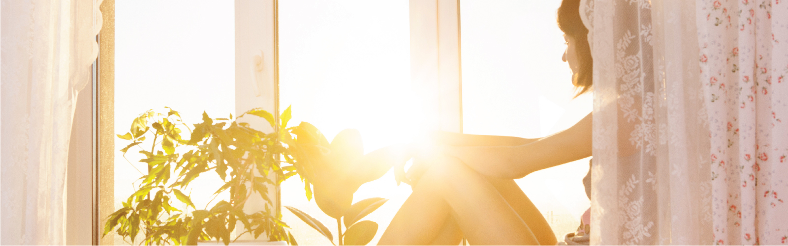 Home interior kept cool with heat control window film